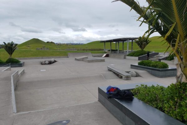 barry_curtis_skatepark_169_ormiston_road_flat_bush_auckland_2016_skate_finder_nz