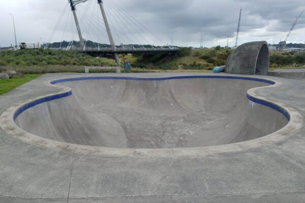 barry_curtis_skatepark_169_ormiston_road_flat_bush_auckland_2016_skate_finder_nz_0