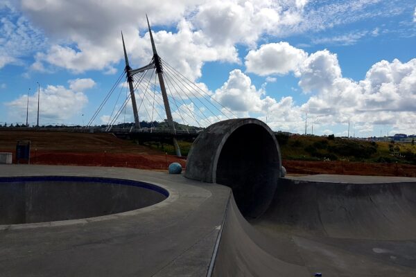 barry_curtis_skatepark_169_ormiston_road_flat_bush_auckland_2016_skate_finder_nz_1