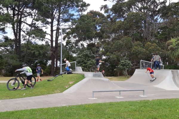 forest_hill_skatepark_253_forrest_hill_road_forrest_hill_auckland_0620_skate_finder_nz