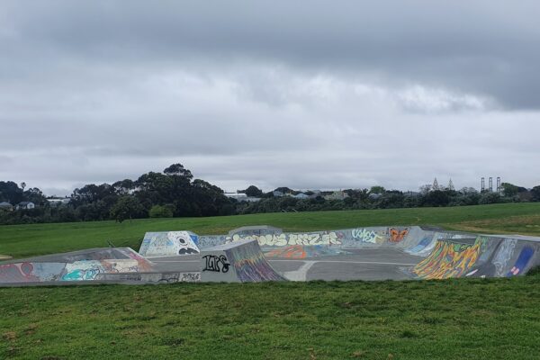 ngataringa_park_29_lake_road_devonport_auckland_0624_skate_finder_nz