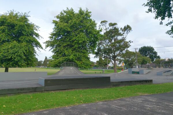 riversdale_rd_skateboard_park_avondale_auckland_1026_skate_finder_nz