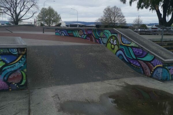 palmerston_north_skate_park_220_church_street_palmerston_north_central_palmerston_north_4410_skate_finder_nz_8