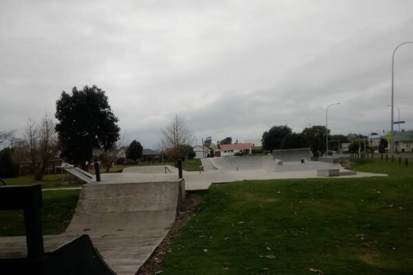 massey_park_skatepark_skate_finder_nz_0