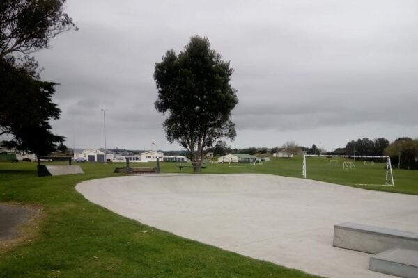 massey_park_skatepark_skate_finder_nz_2